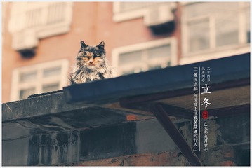 立冬11