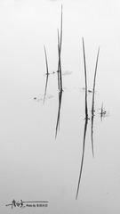 DSC09672-02