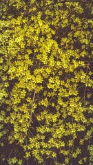 14033601