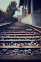 13903724