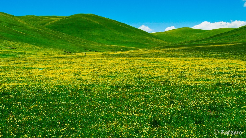 在川西旅游的时候拍的~~~