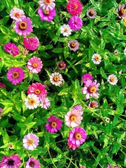 WP_000248 (2)_副本.jpg