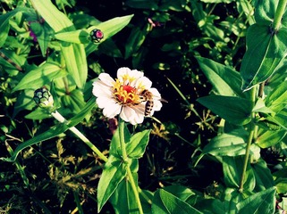WP_000197_副本.jpg