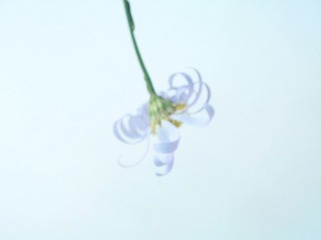 P9090146_副本.jpg