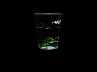 P9100180_副本.jpg
