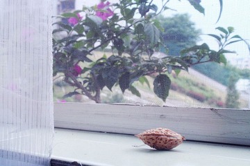 P7112340_副本.jpg