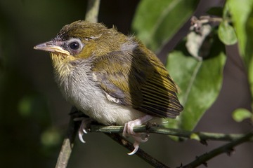 P7130093_副本.jpg