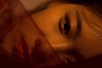 _IGP2647