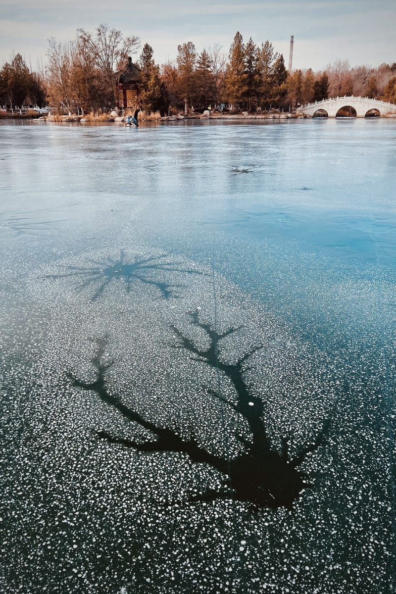 大雪湖面已结冰