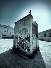 C446896A-E971-40AA-9B0F-0219BEA569BD/L0/001