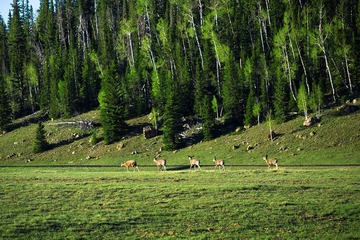 a_MG_3195.jpg