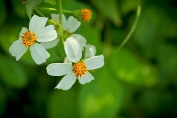 IMG_9689.jpg