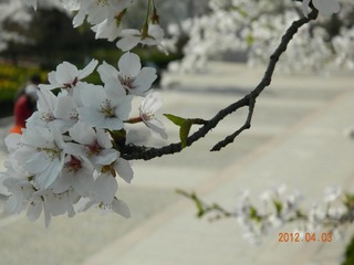 DSCN2245.JPG