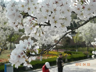 DSCN2246.JPG