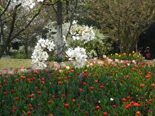 DSCN2255.JPG
