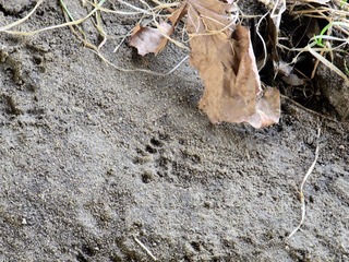 DSCN0097.JPG