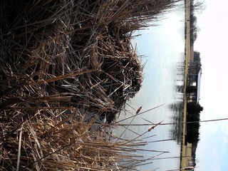 DSCN0111.JPG