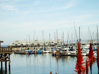 PC274925.jpg