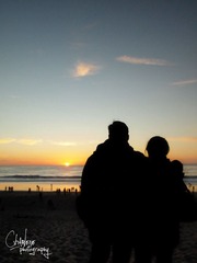 PC275011.jpg