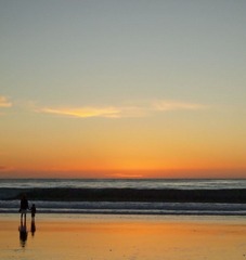 PC275019.jpg