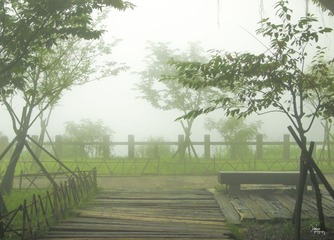 P5260132