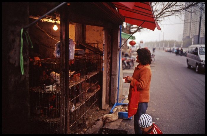 leica-3514vs-201203051<br />