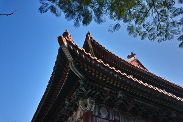 SDIM0956