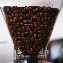 DP3Q0016