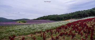 5D3_2013－160830