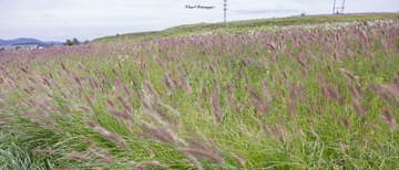 5D3_2107－160830