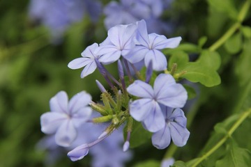 IMG_0944.JPG