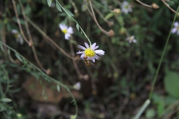 IMG_1573.JPG