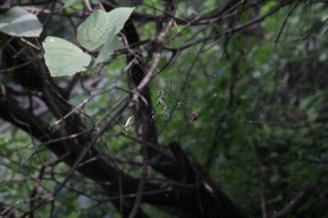 IMG_1616.JPG