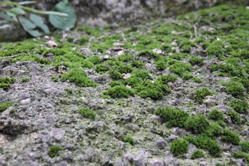 IMG_1712.JPG