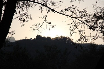 IMG_1768.JPG