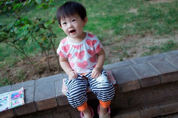 DSC03252a