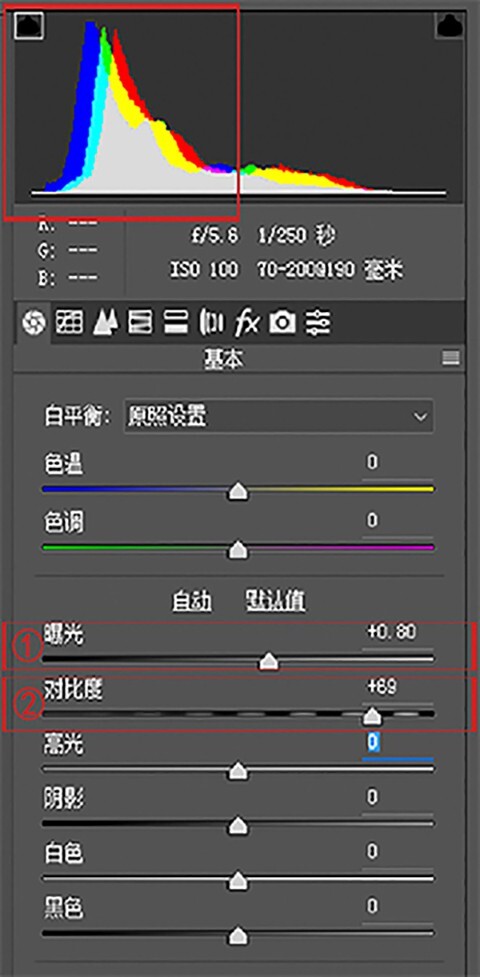 20864343.jpg