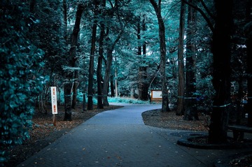 DSC_3250.jpg