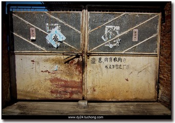 IMG_8851.jpg