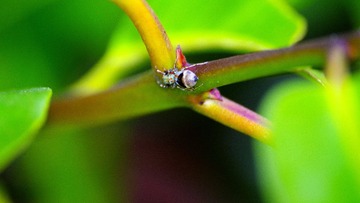 IMGP3720_