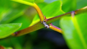 IMGP3724_
