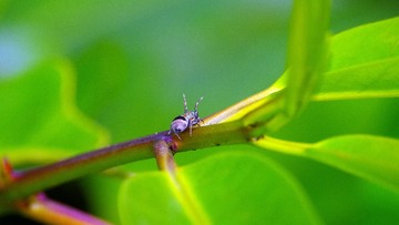 IMGP3726_