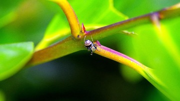 IMGP3727_