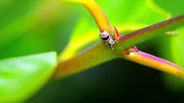 IMGP3729_