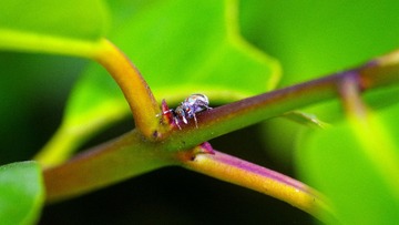 IMGP3730_