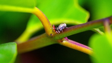 IMGP3732_