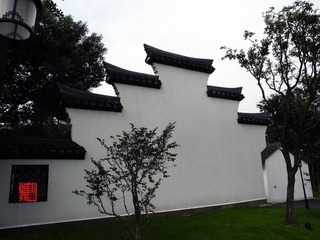 DSCN8051a