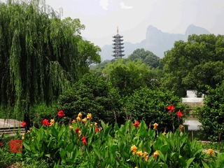 DSCN0507a