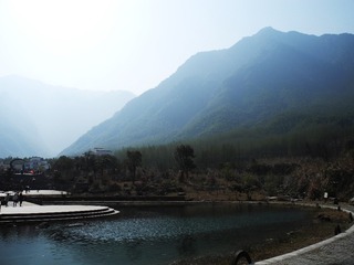 DSCN6717a