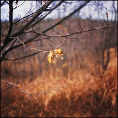 Untitled-2ss.jpg